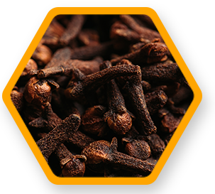 image of  Clove